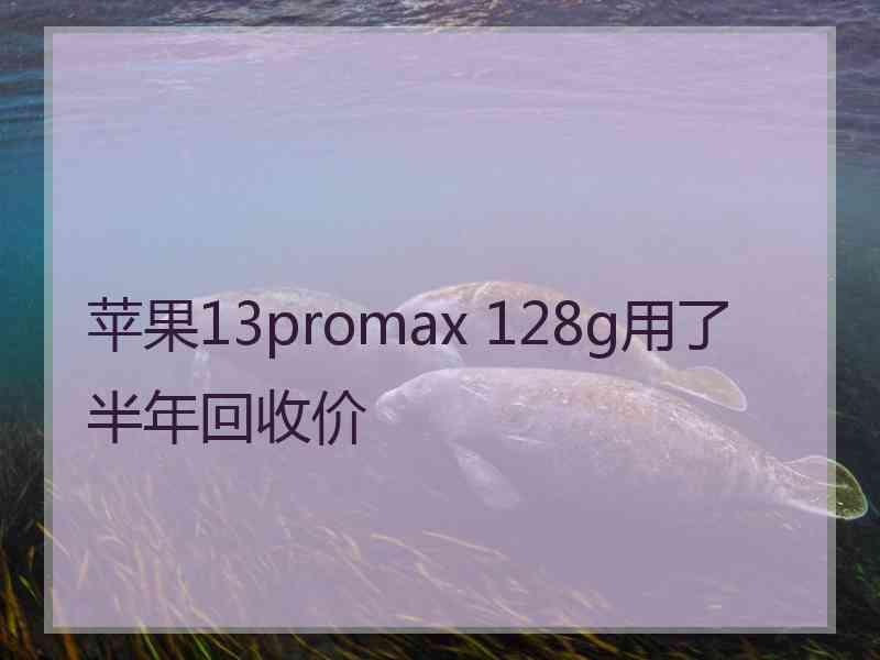 苹果13promax 128g用了半年回收价