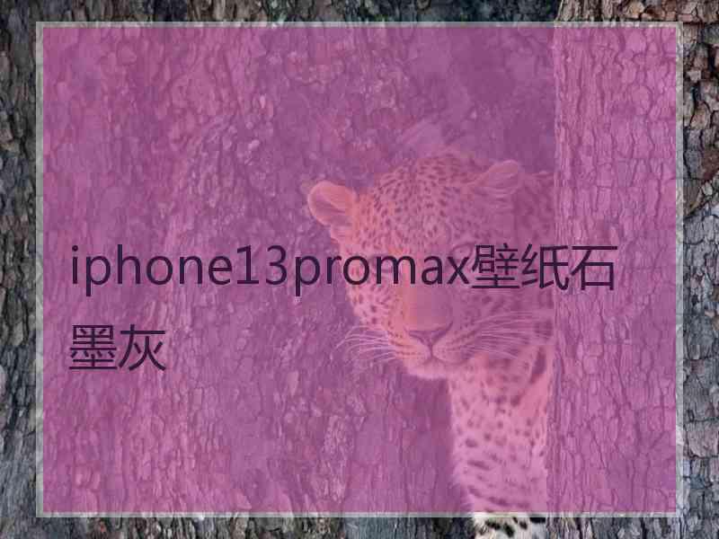 iphone13promax壁纸石墨灰