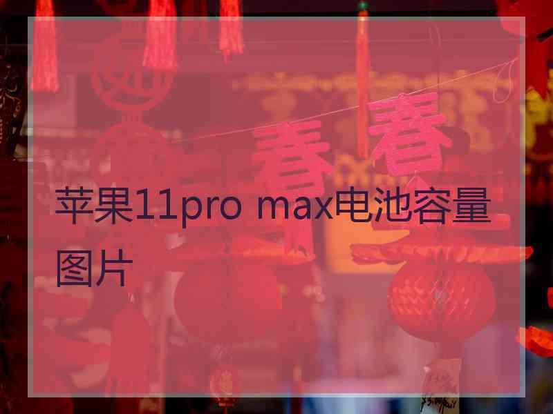 苹果11pro max电池容量图片