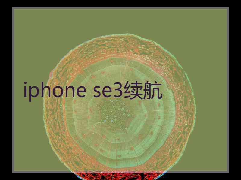 iphone se3续航