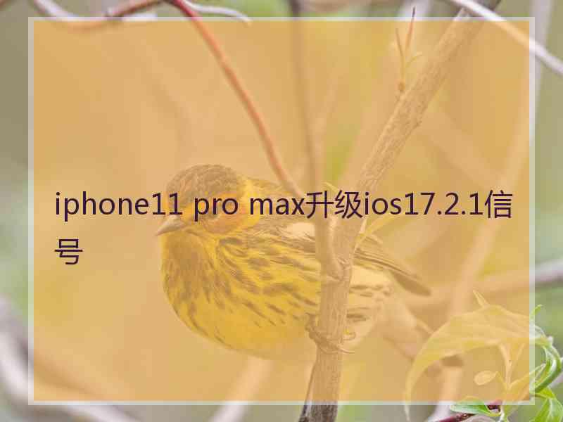 iphone11 pro max升级ios17.2.1信号