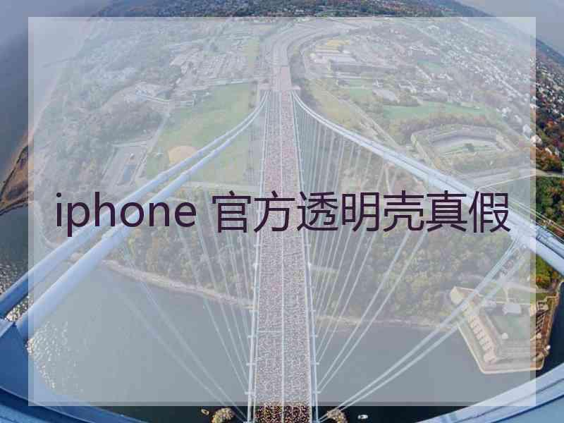 iphone 官方透明壳真假