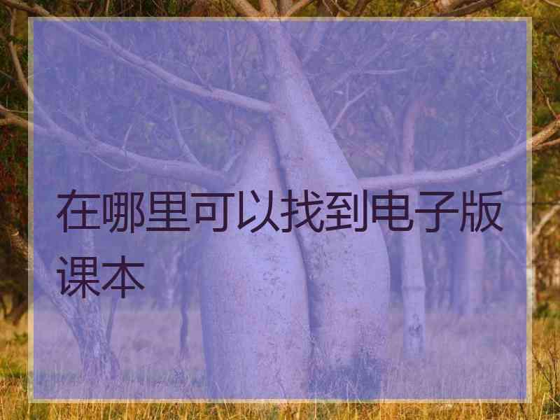 在哪里可以找到电子版课本