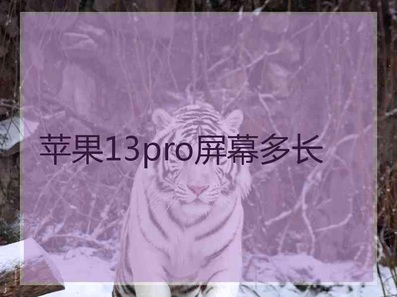 苹果13pro屏幕多长