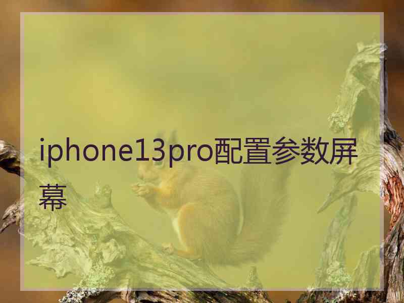 iphone13pro配置参数屏幕