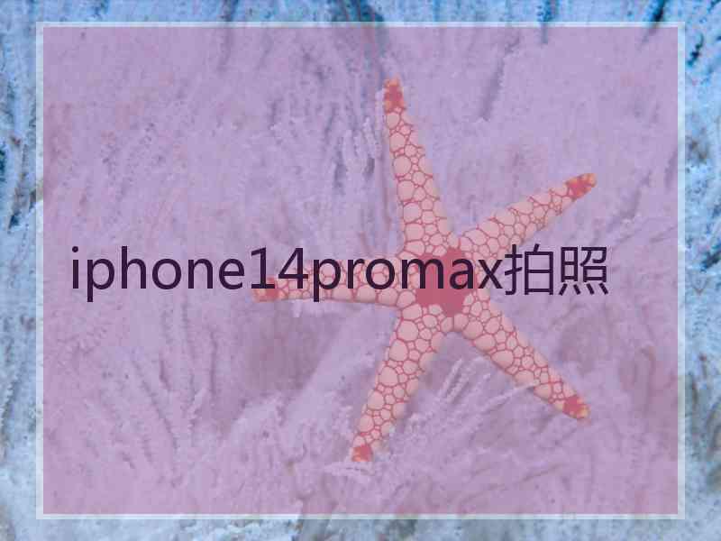 iphone14promax拍照