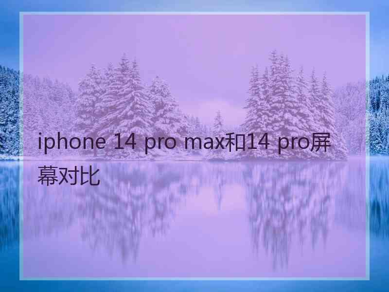 iphone 14 pro max和14 pro屏幕对比