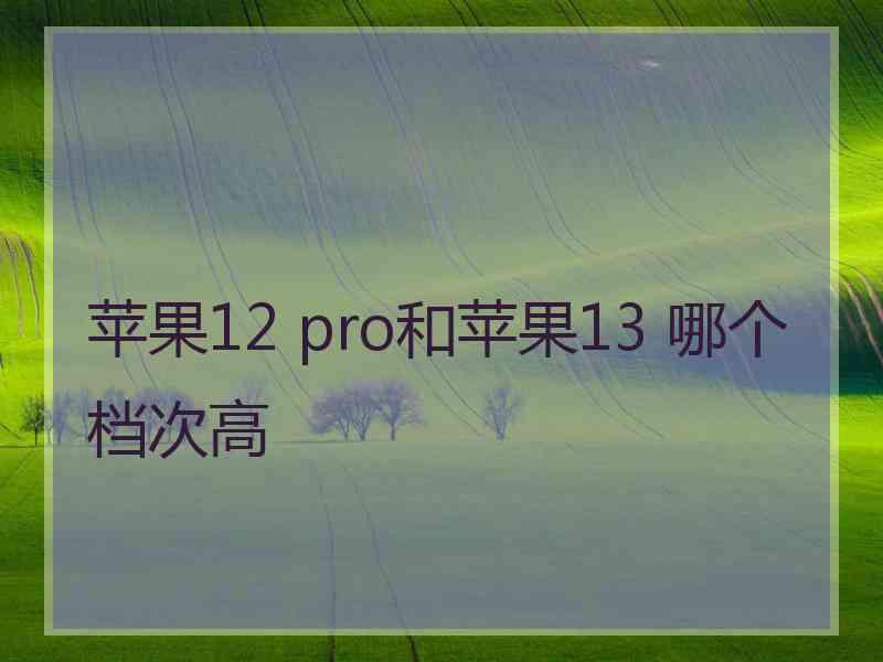 苹果12 pro和苹果13 哪个档次高