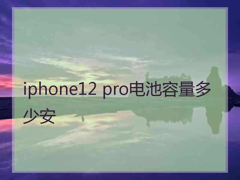 iphone12 pro电池容量多少安