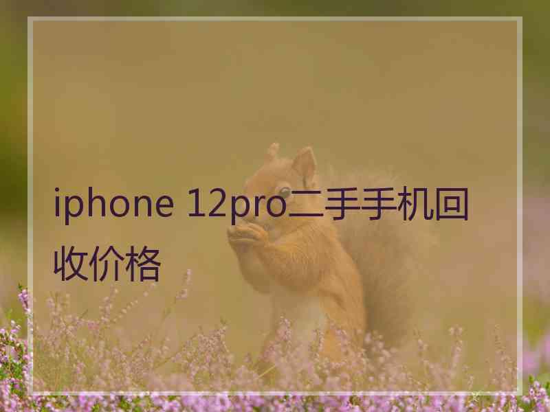 iphone 12pro二手手机回收价格