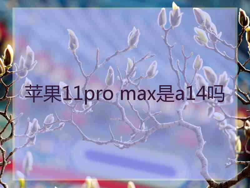 苹果11pro max是a14吗