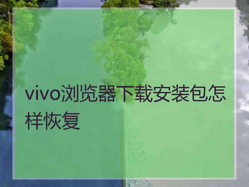 vivo浏览器下载安装包怎样恢复