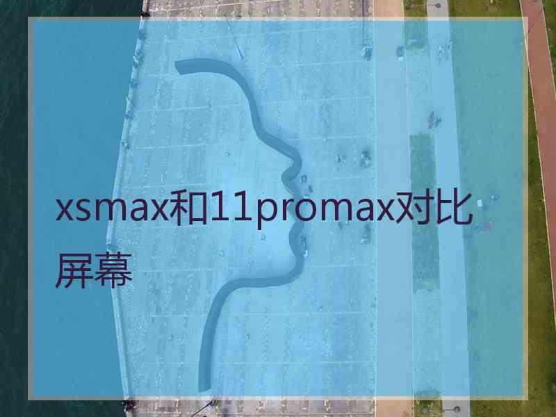 xsmax和11promax对比屏幕