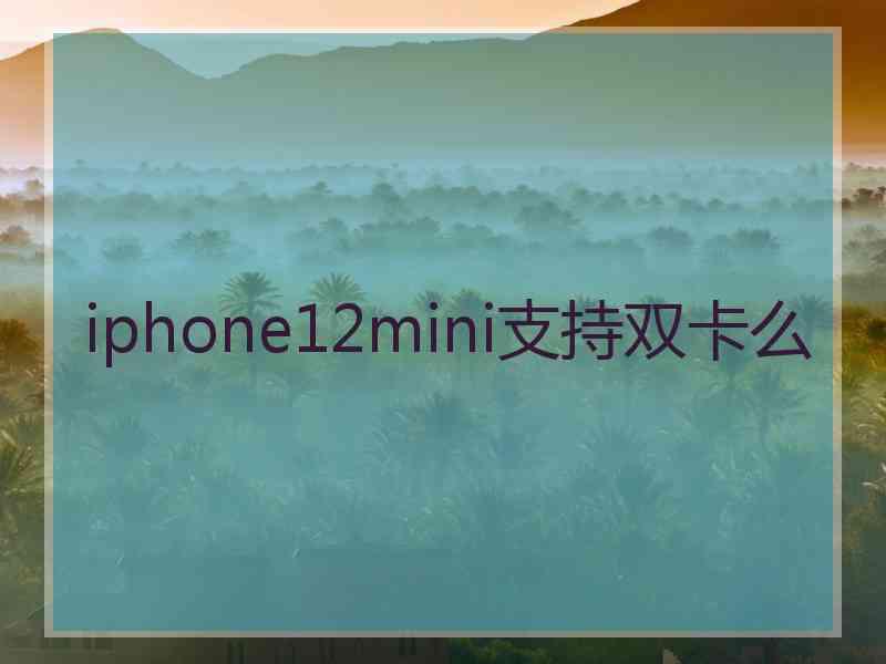 iphone12mini支持双卡么