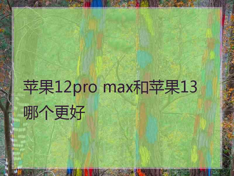 苹果12pro max和苹果13哪个更好