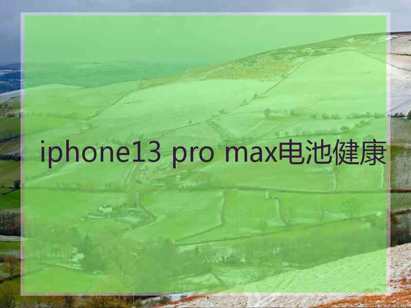 iphone13 pro max电池健康