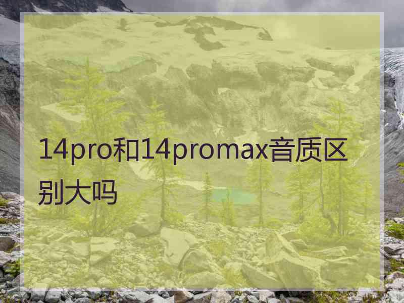 14pro和14promax音质区别大吗