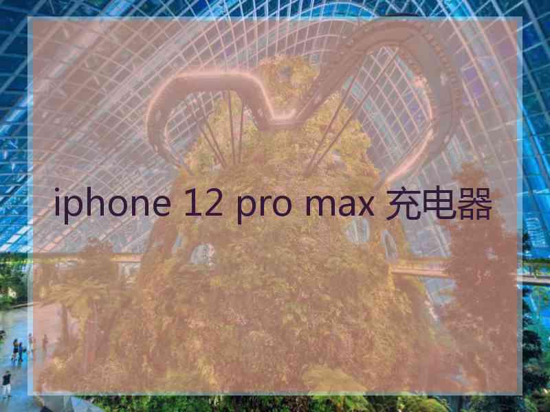 iphone 12 pro max 充电器