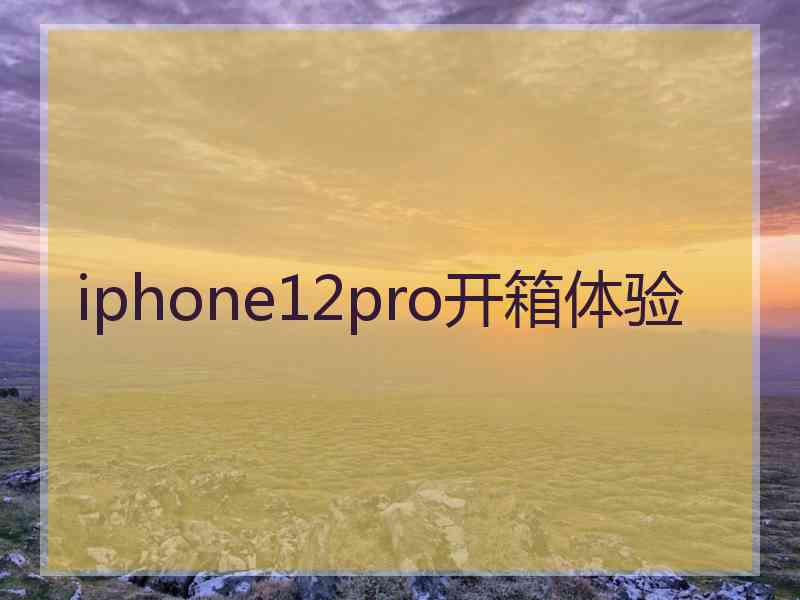 iphone12pro开箱体验