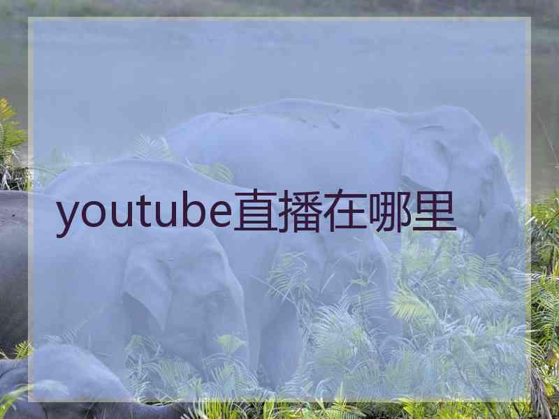 youtube直播在哪里