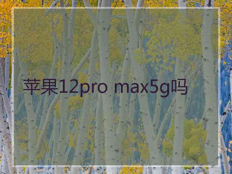 苹果12pro max5g吗