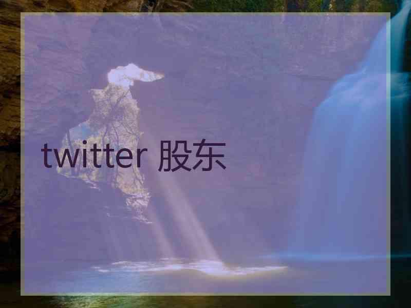 twitter 股东