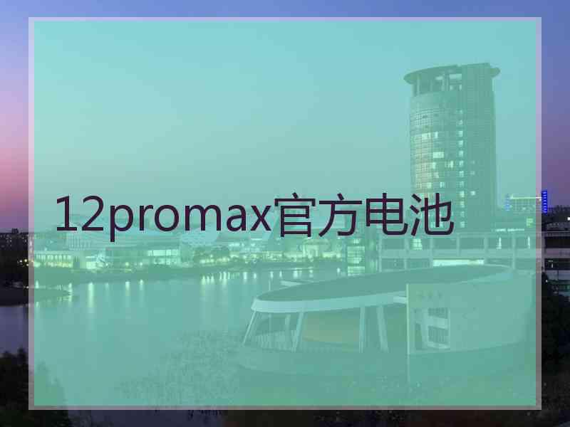 12promax官方电池