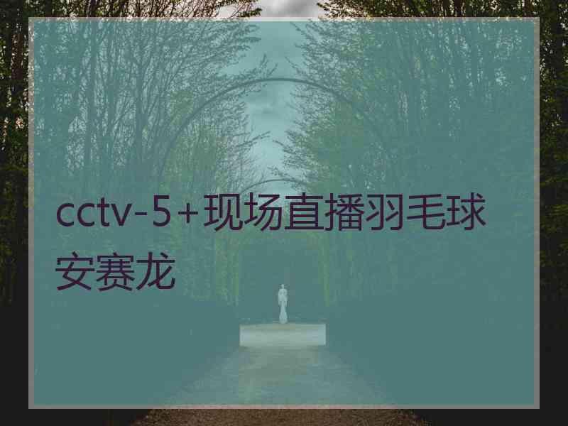 cctv-5+现场直播羽毛球安赛龙