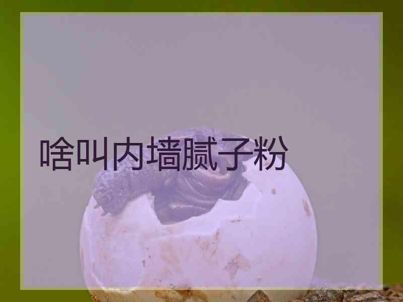 啥叫内墙腻子粉