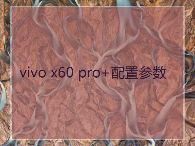 vivo x60 pro+配置参数