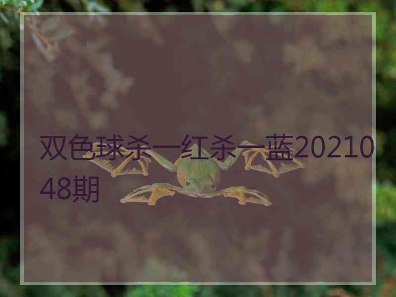 双色球杀一红杀一蓝2021048期