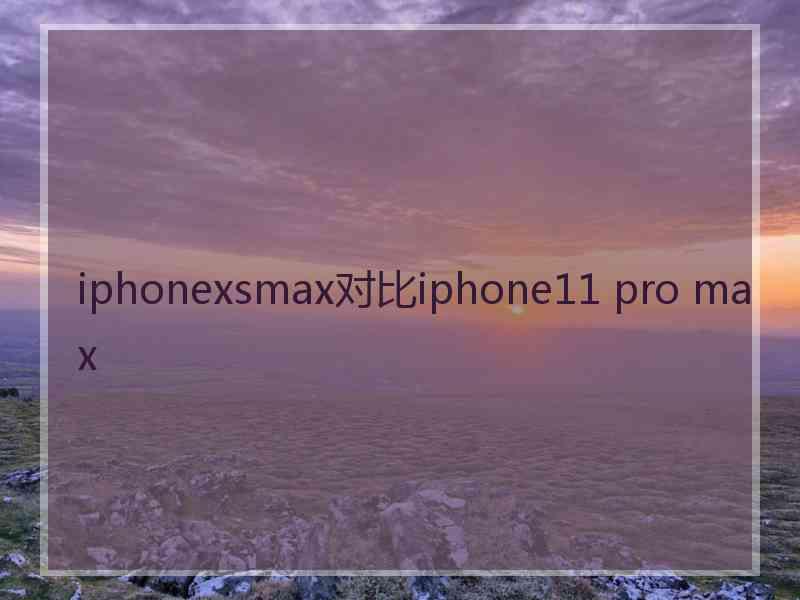 iphonexsmax对比iphone11 pro max