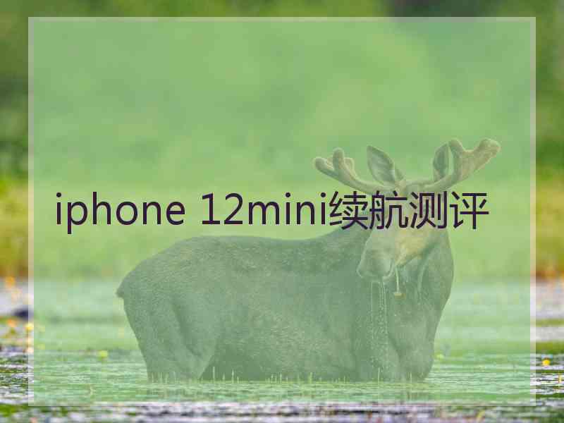 iphone 12mini续航测评