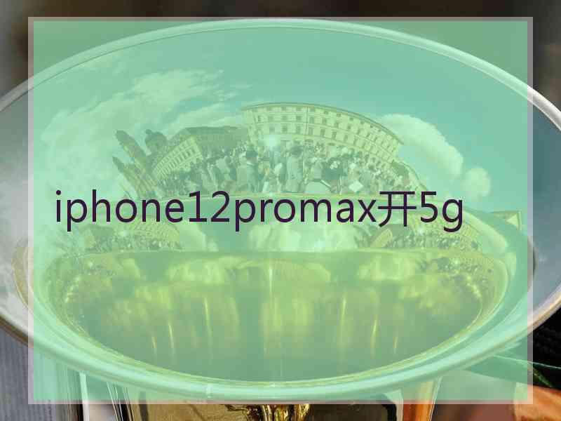 iphone12promax开5g