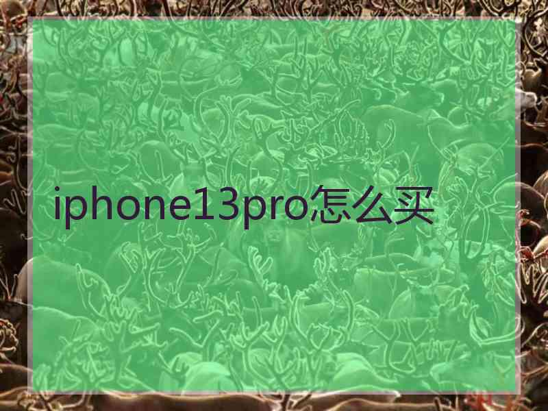 iphone13pro怎么买