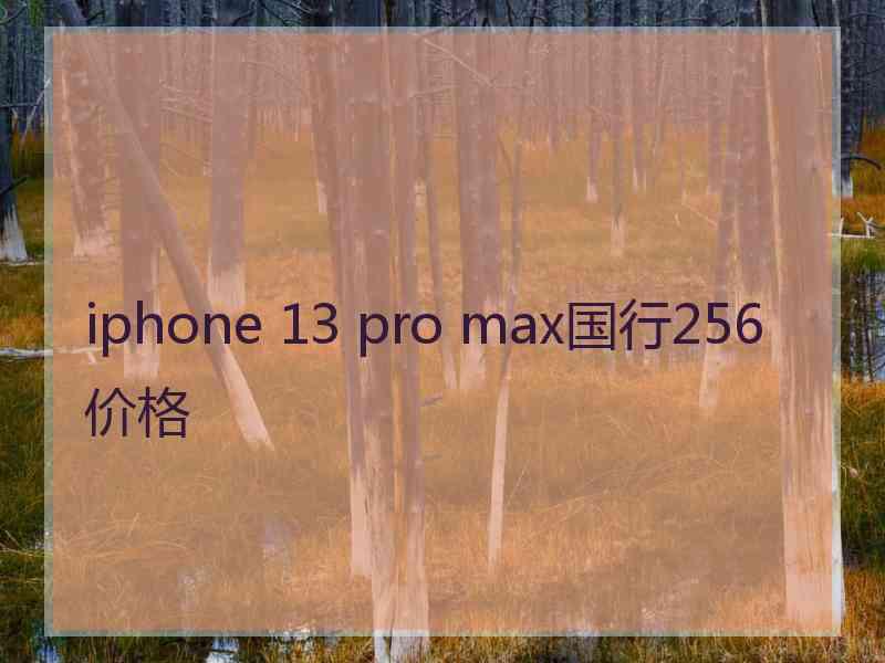 iphone 13 pro max国行256价格