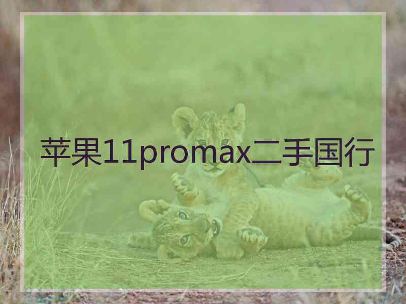 苹果11promax二手国行