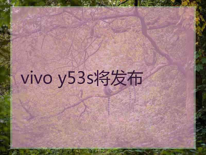 vivo y53s将发布