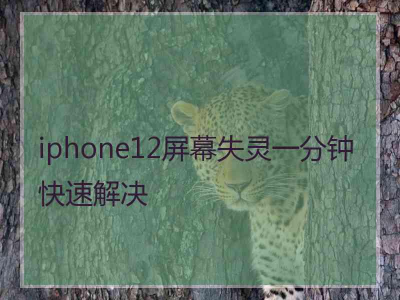 iphone12屏幕失灵一分钟快速解决