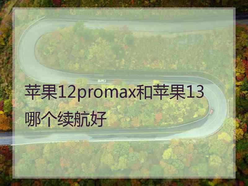 苹果12promax和苹果13哪个续航好