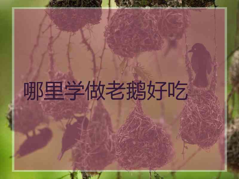 哪里学做老鹅好吃