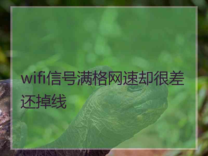 wifi信号满格网速却很差还掉线