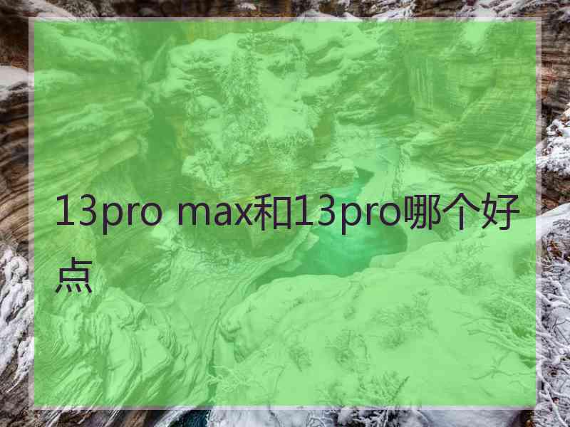 13pro max和13pro哪个好点