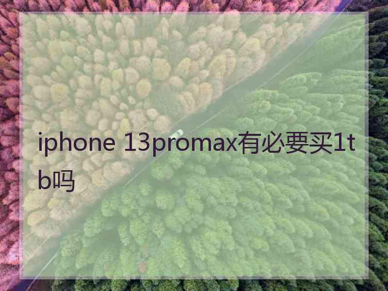 iphone 13promax有必要买1tb吗