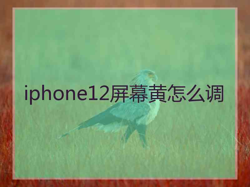 iphone12屏幕黄怎么调