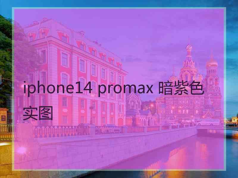 iphone14 promax 暗紫色实图