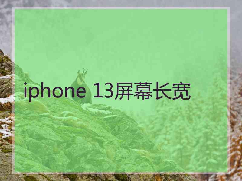 iphone 13屏幕长宽