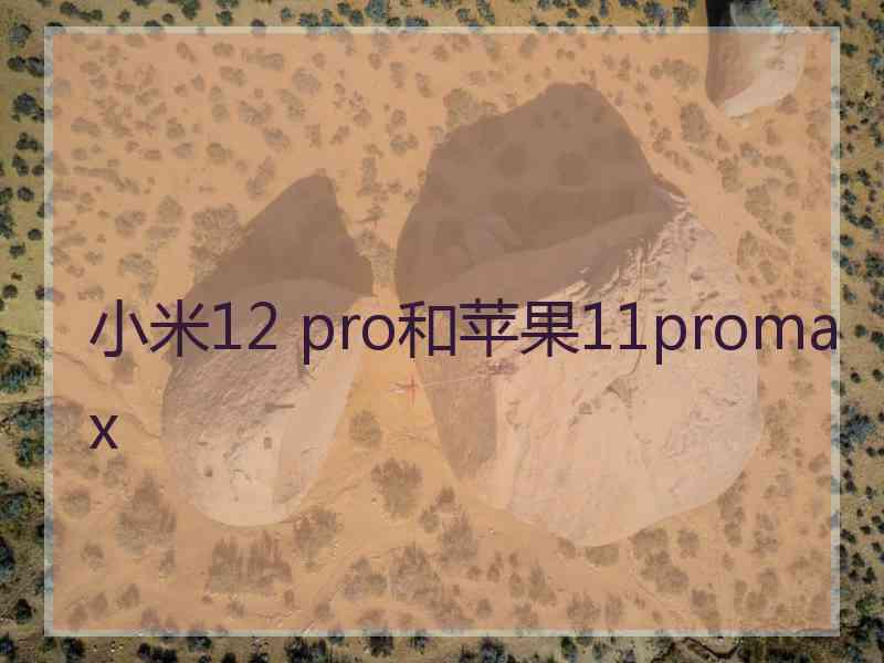 小米12 pro和苹果11promax