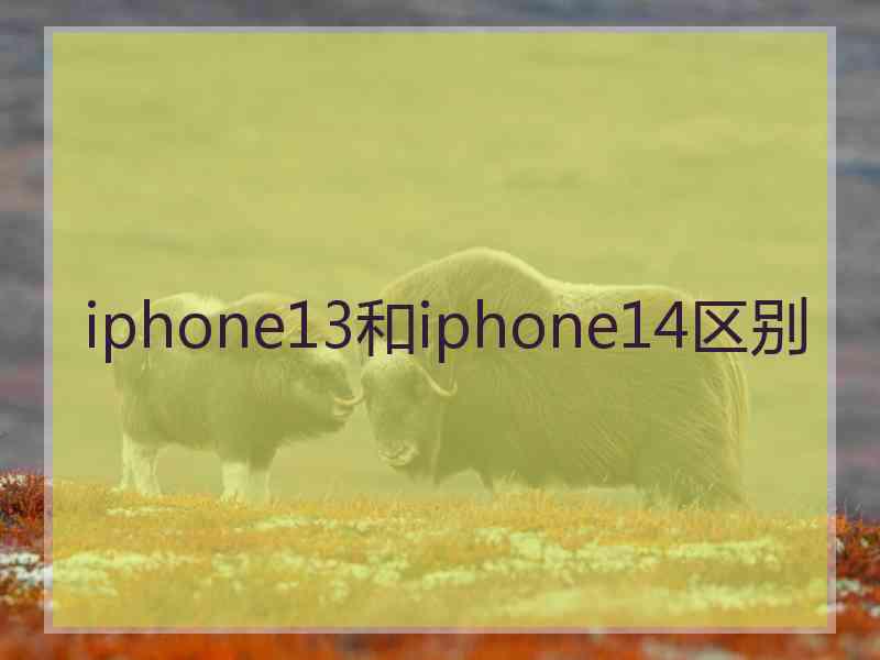 iphone13和iphone14区别