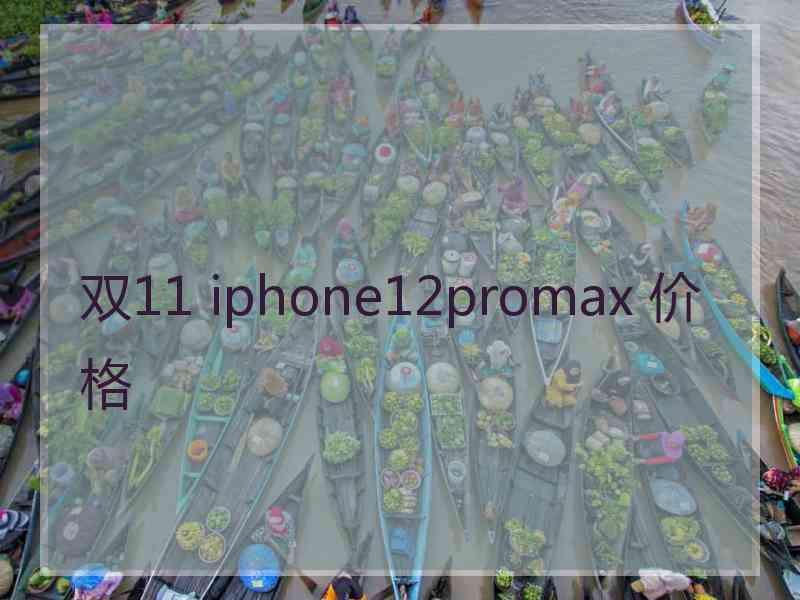 双11 iphone12promax 价格